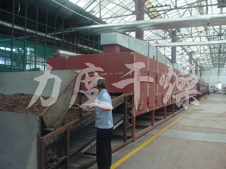 DWC系列脫水蔬菜帶式干燥機(jī)